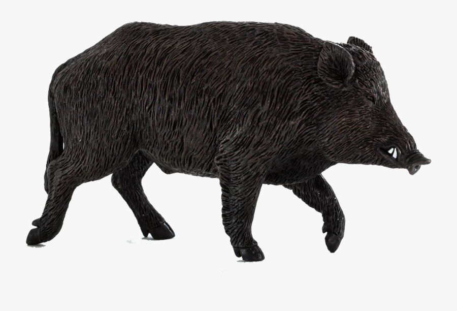 Boar Png Transparent Image - Wild Boar Png, Transparent Clipart