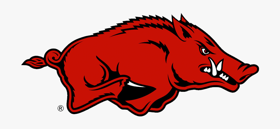 Arkansas Razorbacks, Transparent Clipart