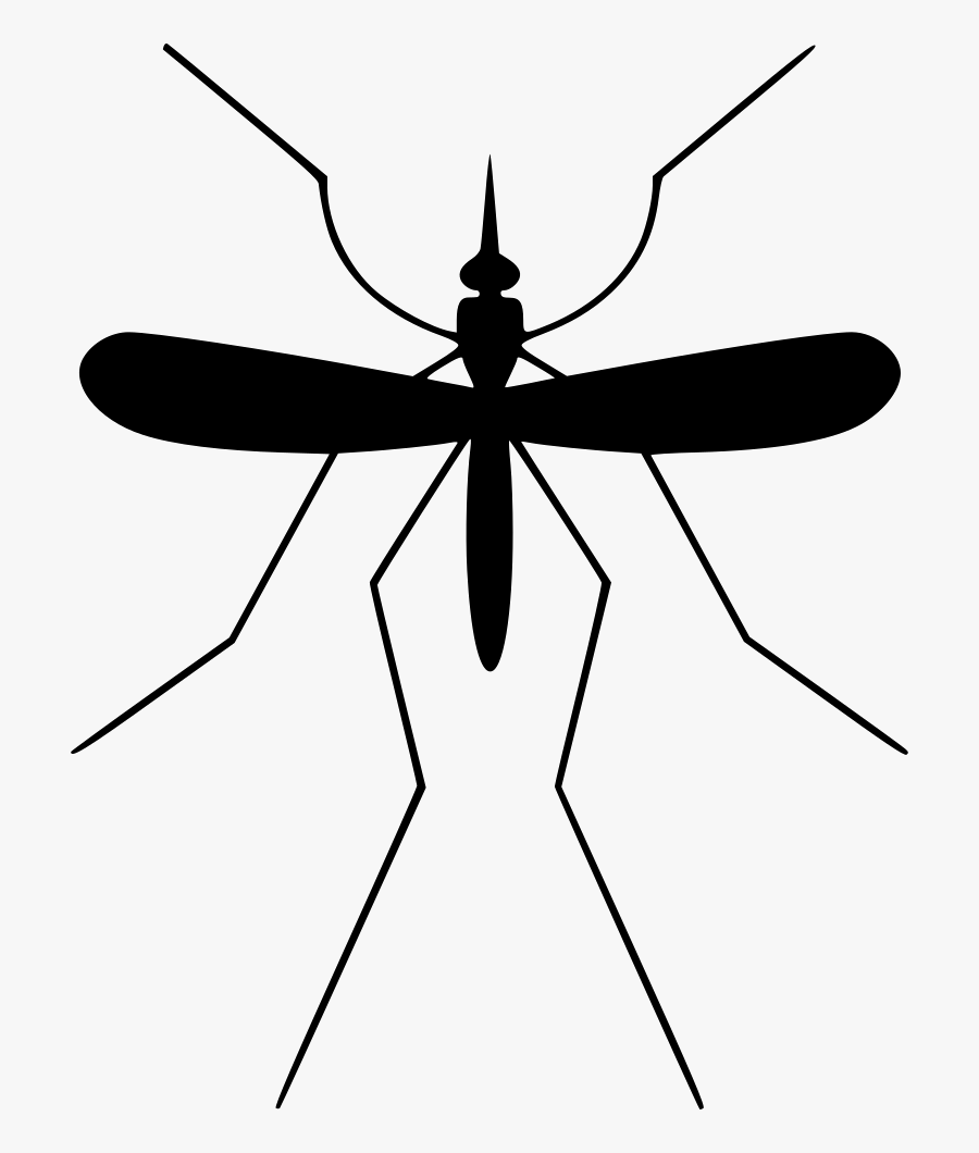 Collection Of Free Mosquito Drawing Gnat Download On - Svg Mosquito, Transparent Clipart