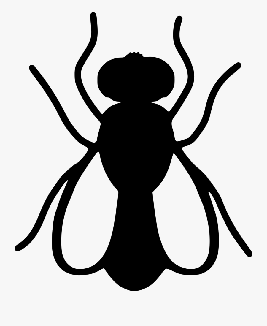 Mosquito Pest Control Cockroach Housefly - Flies Icon, Transparent Clipart