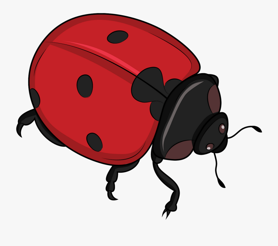 Ladybug, Transparent Clipart
