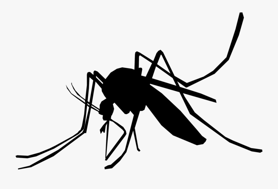 Mosquito Schnake Sting Insect - Mosquito Black And White Png, Transparent Clipart