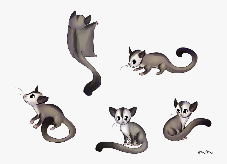 Transparent Sugar Clipart - Drawing Of Sugar Gliders, Transparent Clipart