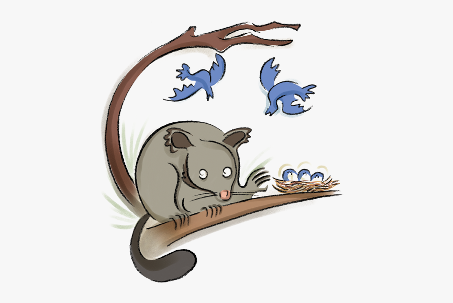 Brushtail - Possum Clipart Png, Transparent Clipart