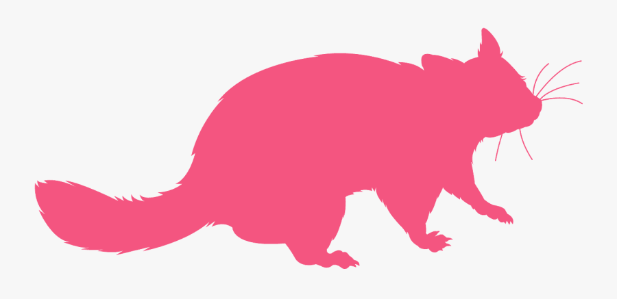 Possum Silhouette Png, Transparent Clipart
