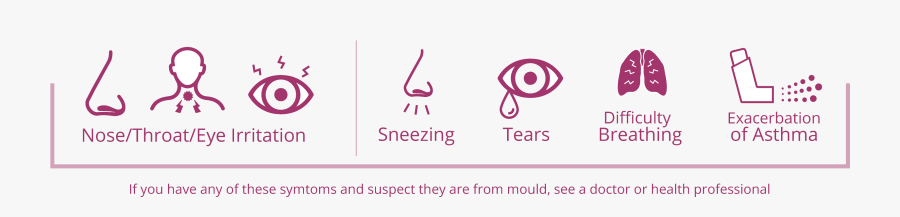 Graphic Design, Transparent Clipart