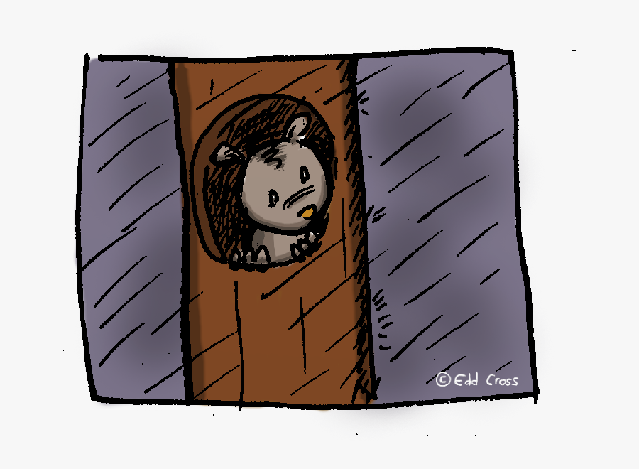 Transparent Possum - Cartoon, Transparent Clipart